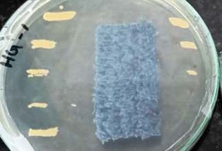 AATCC 147 test sample 1