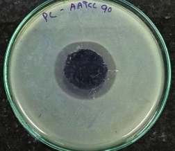 AATCC 90 test sample 1