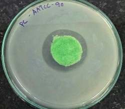 AATCC 90 test sample 2