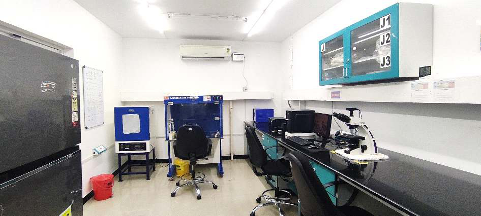 Laboratory workspace with sample storage cabinets